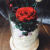 Роза в колбе с подсветкой 21х9см фото в интернет-магазине подарков MarketSmart